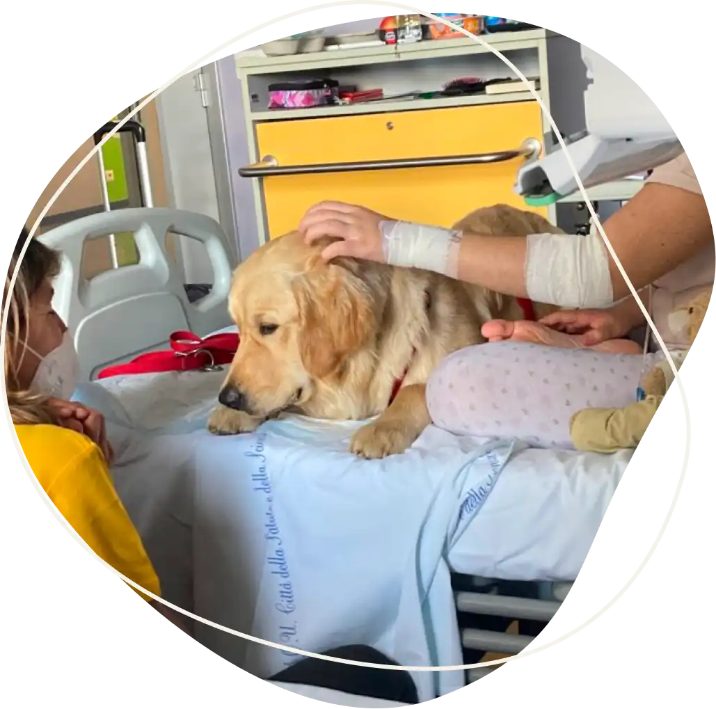 Amici a 4 Zampe Ospedale Regina Margherita